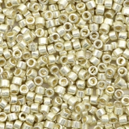 Miyuki Perlen 11/0 delica's Duracoat galvanized silver