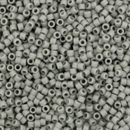 Miyuki Perlen 11/0 delica's Opaque matte gray DB-761
