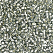 Miyuki Perlen 11/0 delica's Silverlined light gray DB-48