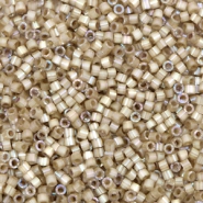 Miyuki Perlen 11/0 delica's Silk satin dyed smokey quartz brown DB-680