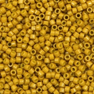 Miyuki Perlen 11/0 delica's Duracoat opaque dyed hawthorne DB-2106