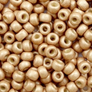 Miyuki 6/0 Rocailles Duracoat galvanized matte champagne 6-4204F