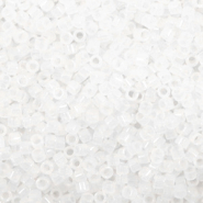 Miyuki Perlen 11/0 delica's Matte crystal DB-741