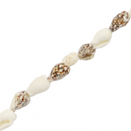 Perle Muschel Wellhornschnecke Mixed brown-white