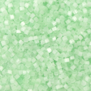 Miyuki Perlen 11/0 delica's Silk satin mint green DB-828