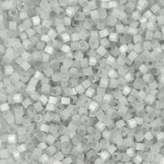 Miyuki Perlen 11/0 delica's Silk satin dyed shadow gray DB-1816