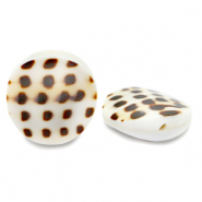 Perle Muschel 20mm White brown