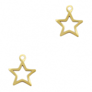 Anh&auml;nger aus Stainless Steel - Rostfreiem Stahl Star Gold