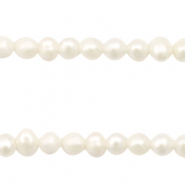 S&uuml;sswasser Perlen rund 3mm Natural white