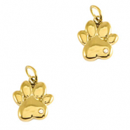 Anhänger aus Stainless Steel - Rostfreiem Stahl Dog Paw Gold