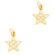 Anhänger aus Stainless Steel - Rostfreiem Stahl Star Gold