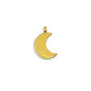 Anh&auml;nger aus Stainless Steel - Rostfreiem Stahl La Luna moon Gold