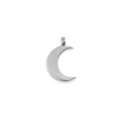 Anh&auml;nger aus Stainless Steel - Rostfreiem Stahl La Luna moon Silver