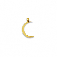 Anh&auml;nger aus Stainless Steel - Rostfreiem Stahl La Luna moon Gold