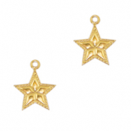 Anh&auml;nger aus Stainless Steel - Rostfreiem Stahl Star Gold