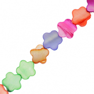 Perle Muschel Blume Multicolour