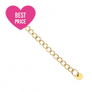 Zubeh&ouml;r aus Stainless Steel - Rostfreiem Stahl Verl&auml;ngerungskette coin 4mm Gold