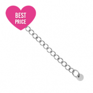 Zubeh&ouml;r aus Stainless Steel - Rostfreiem Stahl Verl&auml;ngerungskette coin 4mm Silber