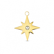 Anh&auml;nger aus Stainless Steel - Rostfreiem Stahl Star Gold