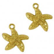 Anh&auml;nger aus Stainless Steel - Rostfreiem Starfish Gold