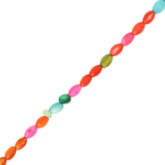 Perle Muschel Oval Multicolor