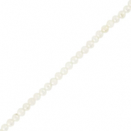 Perle Muschel Round White