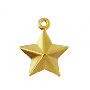 Anh&auml;nger aus Stainless Steel - Rostfreiem Stahl Star Gold