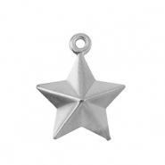 Anhänger aus Stainless Steel - Rostfreiem Stahl Star Silver