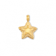 Anh&auml;nger aus Stainless Steel - Rostfreiem Stahl Star Gold