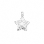 Anhänger aus Stainless Steel - Rostfreiem Stahl Star Silver