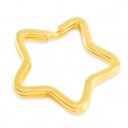 Zubeh&ouml;r Metall DQ Schl&uuml;ssel Anh&auml;nger Star Gold (Nickelfrei)