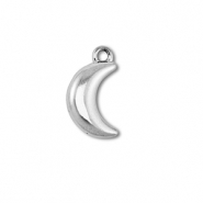 Anh&auml;nger aus Stainless Steel - Rostfreiem Stahl Moon Silver