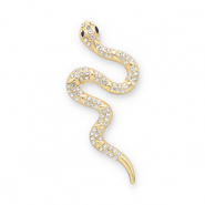 Broschen Snake Gold-transparent-black