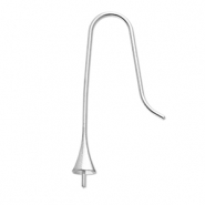 Zubeh&ouml;r aus Stainless Steel - Rostfreiem Stahl Ohrringe / Ohrh&auml;nger mit Endkappe Silver