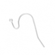 Zubeh&ouml;r aus Stainless Steel - Rostfreiem Stahl Ohrringe / Ohrh&auml;nger Silver