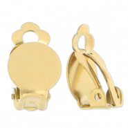 Zubeh&ouml;r aus Stainless Steel - Rostfreiem Stahl Clip-Ohrringe Gold