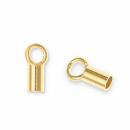 Zubeh&ouml;r Eco-brass&reg; Metall DQ Endkappe Gold (Nickelfrei)