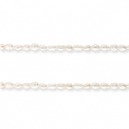 S&uuml;sswasser Perlen Rice Natural white