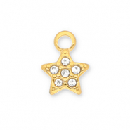 Anh&auml;nger aus Stainless Steel - Rostfreiem Stahl Star with Strass Gold-transparent