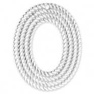 Anh&auml;nger aus Stainless Steel - Rostfreiem Stahl Oval Silver