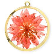Getrocknete Blumen Anh&auml;nger 34 mm Gold-living coral red