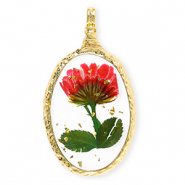 Getrocknete Blumen Anh&auml;nger Oval Gold-red-green