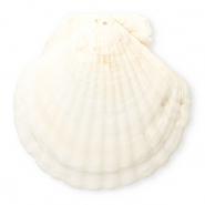 Anh&auml;nger Muschel Special Scallop White