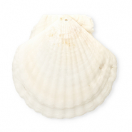 Anh&auml;nger Muschel Special Scallop White
