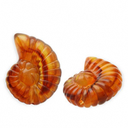 Perlen aus Acryl Shell Amber brown