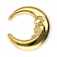 Statement Broschen aus Stainless Steel - Rostfreiem Stahl Moon Gold