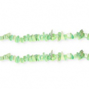 Perle Muschel Chipstone Multicolour green
