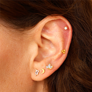 Neues 21-07-2025 Ohrpiercings aus Edelstahl