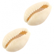 Muscheln Kauri Ivory-beige