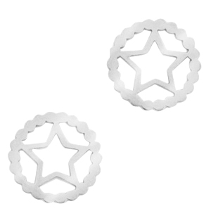 Anh&auml;nger aus Stainless Steel - Rostfreiem Stahl Zwischenst&uuml;ck Star Silber